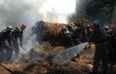 Scandal cu scântei la Flămânzi