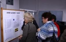 AJOFM Botoșani | 410 șomeri se aflau în Dorohoi la sfârșitul lunii mai