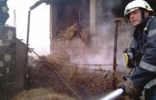 Adăpost de animale şi furaje distruse din joacă