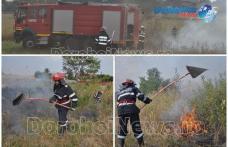 Incendiu izbucnit în apropierea unui depozit de lemne din Dealu Mare. Pompierii dorohoieni au evitat un dezastru - FOTO