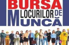 AJOFM Botoșani organizează „Bursa locurilor de muncă pentru absolvenţii promoţiei 2016” Vezi data și locația!