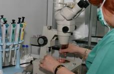 Ministerul Sănătăţii a dat, oficial, startul la fertilizări in vitro pe banii statului