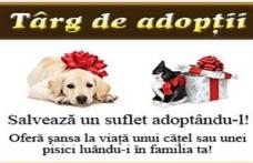 Asociația ADOR | Târg de adopţii şi concurs de frumuseţe canină, sâmbătă, în Parcul Mihai Eminescu