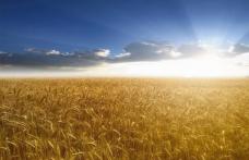 Temperaturile vor depăşi 30 de grade în zilele următoare