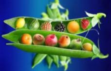  3 diete de detoxifiere ideale pentru vara