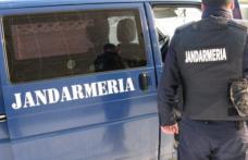 Scandaluri aplanate de jandarmi în week-end. Au fost aplicate amenzi de peste 9 mii lei!