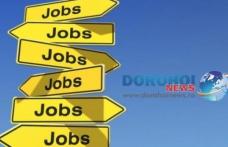 Angajatorii din Spaţiul Economic European oferă peste 1000 de locuri de muncă prin intermediul reţelei EURES