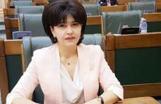 Doina Federovici: „Avem nevoie de consens politic pentru dezvoltarea județului Botoșani”