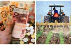 Suprafeţe agricole pentru care nu se acordă subvenţii