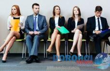 Ofertă AJOFM Botoșani: 299 locuri de muncă disponibile în județ!