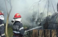Adăpost de animale incendiat de trăsnet la Smârdan