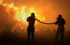 12 tone de furaje distruse în două incendii