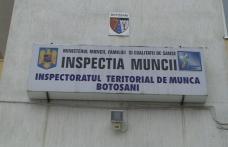 ITM  Botoşani verifică contractele de muncă