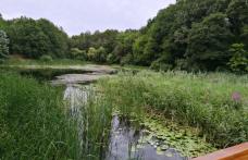 Vizită neanunțată a vicepreședintelui CJ Dorin Birta, la Lacul cu Nuferi de la Ipotești - FOTO