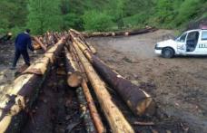 Material lemnos confiscat de poliţişti de la o societate de prelucrarea lemnului din Botoşani