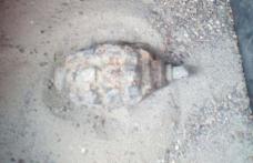 Grenadă găsită în balastul întins recent pe un drum comunal din județul Botoșani - FOTO