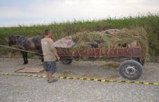 Atelaje încărcate cu ţigări de contrabandă, reţinute la frontieră - FOTO