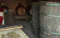 Vinul pus la fermentat poate ucide!