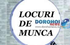 AJOFM Botoșani: Aproape șapte sute de locuri de muncă disponibile în județ!