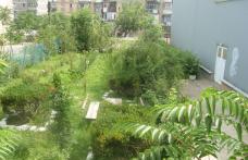Școala nr.8 Dorohoi vrea să își extindă spațiul verde