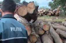 Material lemnos confiscat de Poliţiştii Biroului Rutier Dorohoi