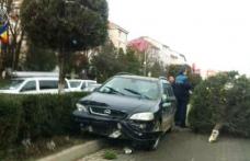 Accident pe Bulevardul Victoriei! A rupt un brad și s-a oprit pe contrasens după ce a scăpat mașina de sub control - FOTO
