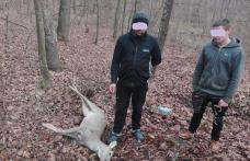 Braconieri prinși de jandarmi cu un căprior mort