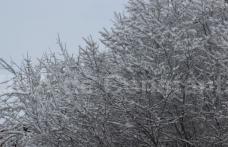 INFORMARE METEO. Din această noapte se strică vremea. Vin ninsorile iar vântul va prezenta intensificări