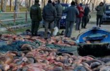 Braconaj dus la extrem. Cum au golit de peşte un lac din Italia trei români