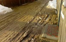 Primim la redacţie – „Care este modelul de cizme de cauciuc care se asortează cu lutul de pe strada mea, domnule Primar?” - FOTO