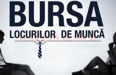 AJOFM Botoșani organiează „Bursa Generală a Locurilor de Muncă 2018”. Vezi când va avea loc!