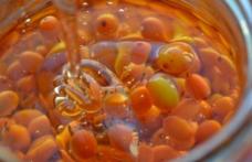 Amestecul de miere cu cătină românească, un preparat fabulos pentru organism