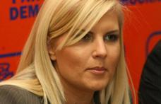 Udrea: E posibil ca la alegerile viitoare PDL să înlocuiască portocaliul din însemnele sale