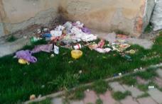 Primim la redacție – Natură moartă pe Aleea Ghiocelului din cartierul Plevna - FOTO