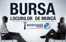 Bursa generală a locurilor de muncă astăzi la Dorohoi