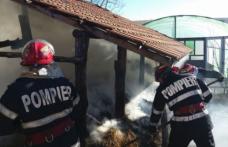 Peste zece tone de plante furajere și o seră afectate de un incendiu izbucnit într-o gospodărie din Dumbrăvița