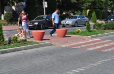 Dorohoi: Primăria nevoită să amplaseze ghivece la trecerile de pietoni de pe Bulevardul Victoriei
