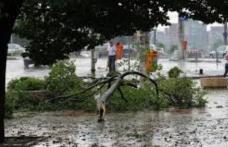 ALERTĂ METEO. Cod GALBEN de ploi torențiale, vijelii, descărcări electrice și grindină!