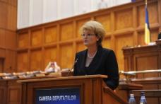 Comunicat PSD: Mihaela Huncă - „Propun un program național pentru promovarea lecturii, în special pentru elevi și studenți, dar și pentru adulți”