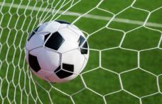 FC Botoșani își face echipă satelit la Dorohoi