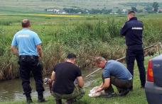 Au ieşit cu undiţa pe baltă şi au pescuit... amenzi