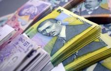 Ajutoare de urgenţă de la Guvern, alocate unor familii sau persoane singure din judeţul Botoșani, cu probleme financiare sau de sănătate