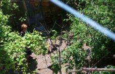 Legea picnicului a trecut de comisie. Faci grătar în faţa blocului, iei amendă