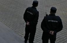 Sancţiuni aplicate de jandarmi la manifestările de la Vorona