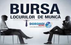 AJOFM Botoșani organizează „Bursa generală a locurilor de muncă” la Dorohoi