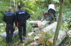 Hoţi de lemne prinşi la locul faptei. Un bărbat şi o femeie depistați de polițiști când defrișau dintr-o pădure din județul Botoșani