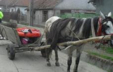 Bărbat în vârstă de 81 de ani lovit de un căruțaș băut