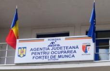 Prima de activare în valoare de 1.000 lei neimpozabilă poate fi solicitată de la AJOFM Botoșani 
