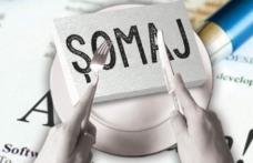 Trei la sută este rata șomajului înregistrat în evidențele AJOFM Botoșani în luna septembrie 2018