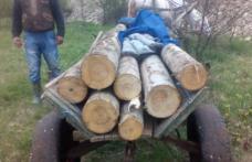 Căruță plină cu lemne confiscată de polițiști la Tudora